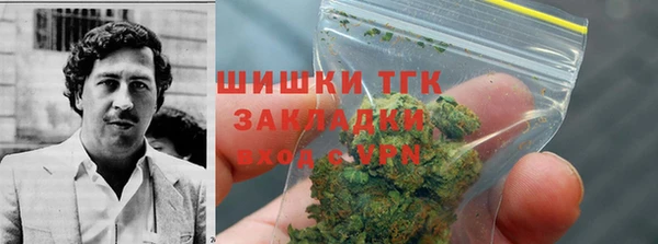 амф Бородино