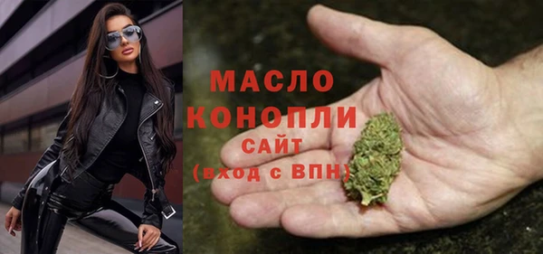 амф Бородино
