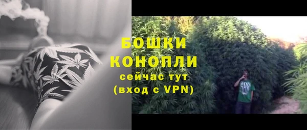 винт Бронницы
