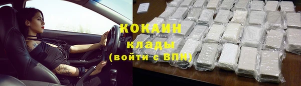 амф Бородино