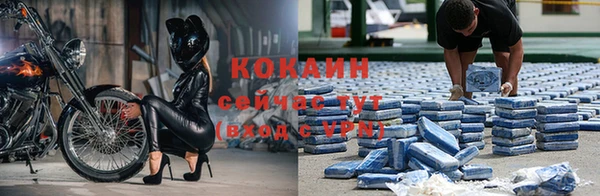 амф Бородино