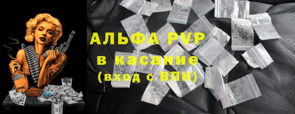 амф Бородино